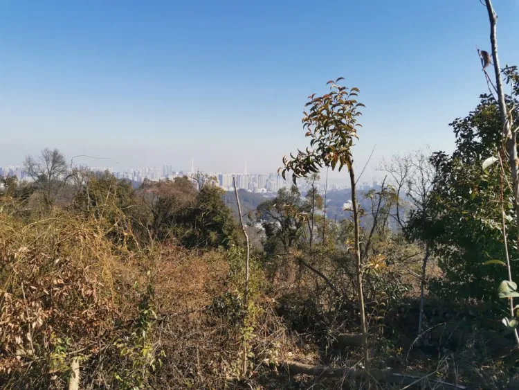 登顶前远眺城区