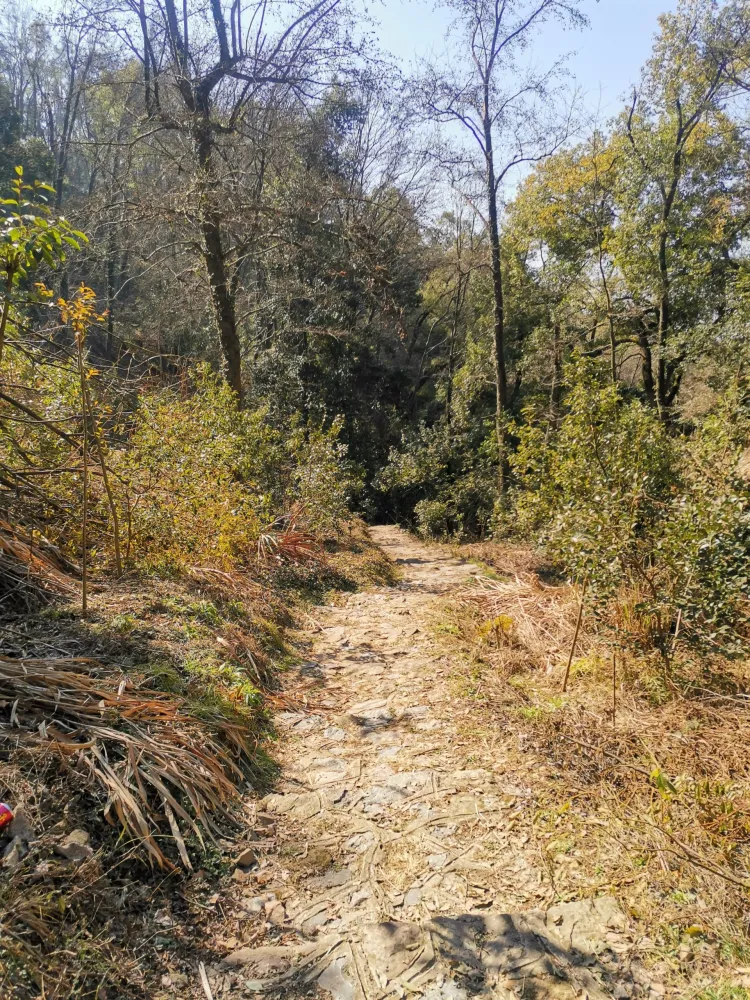 不走来时路，下山时挑战山谷旁的险峻小路，前往楠竹林